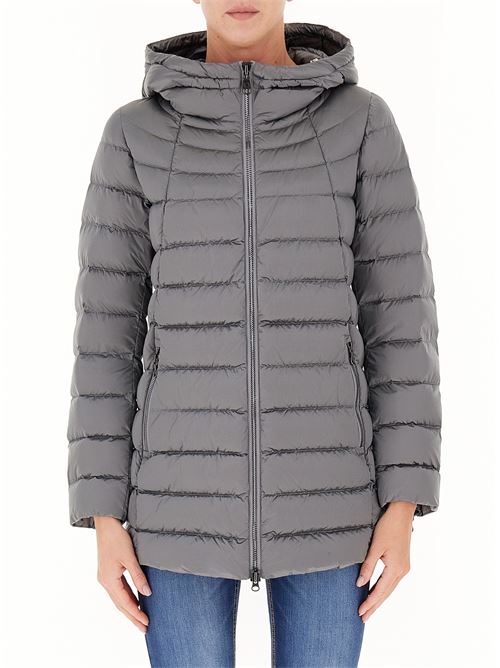 COLMAR | 2233 2YO/506